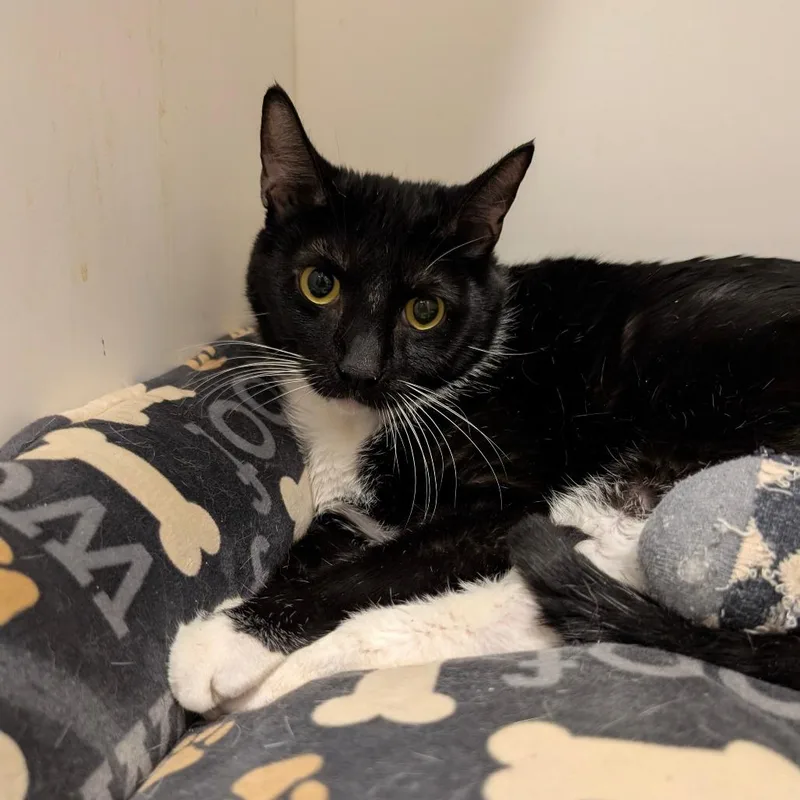 Ottercity Of Industry Location thumbnail 6