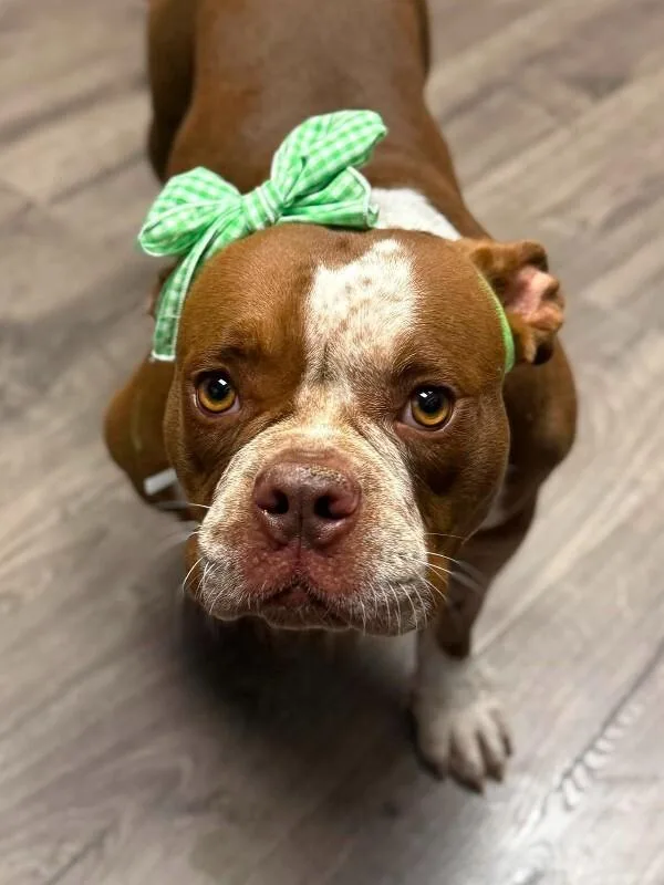 Ms. Peggy