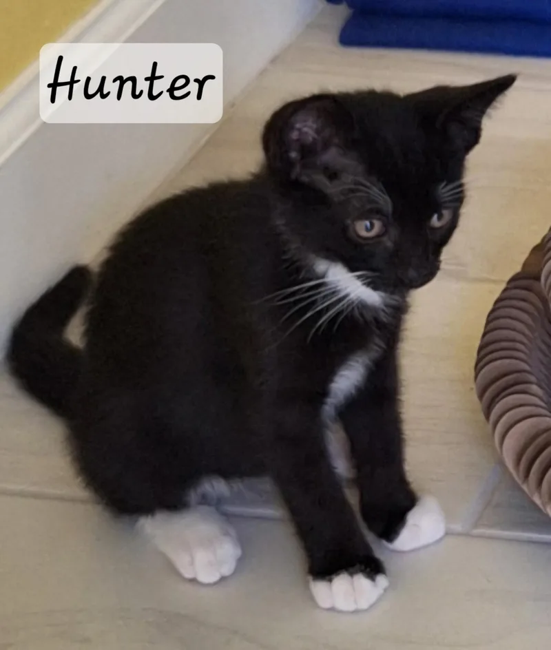 Ayla & Hunter BONDED thumbnail 4