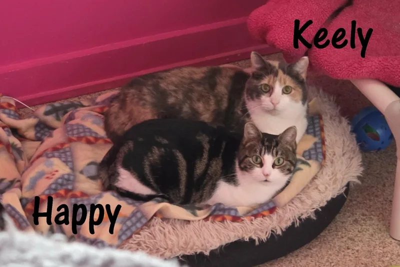Happy & Keely thumbnail 2