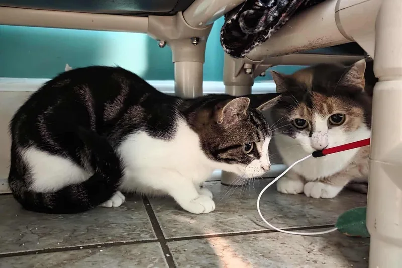 Happy & Keely thumbnail 3