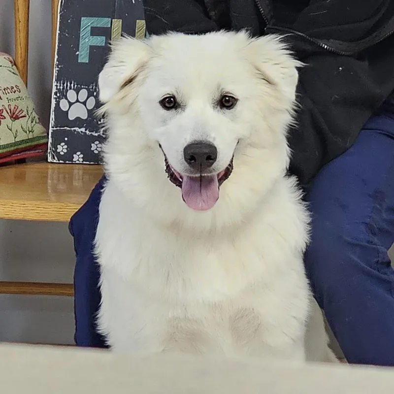 Winter aka Winnie thumbnail 2