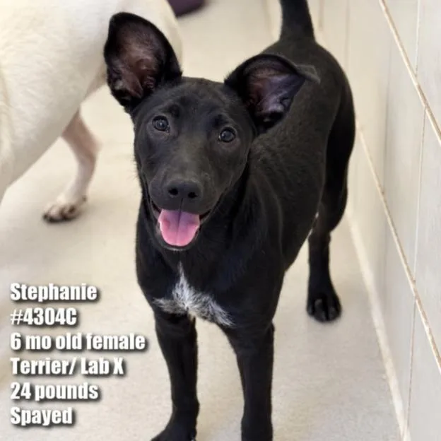 Stephanie thumbnail 3