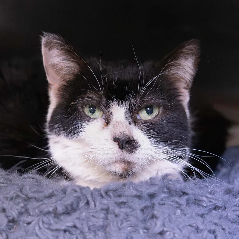 Dr. Pepper thumbnail 3