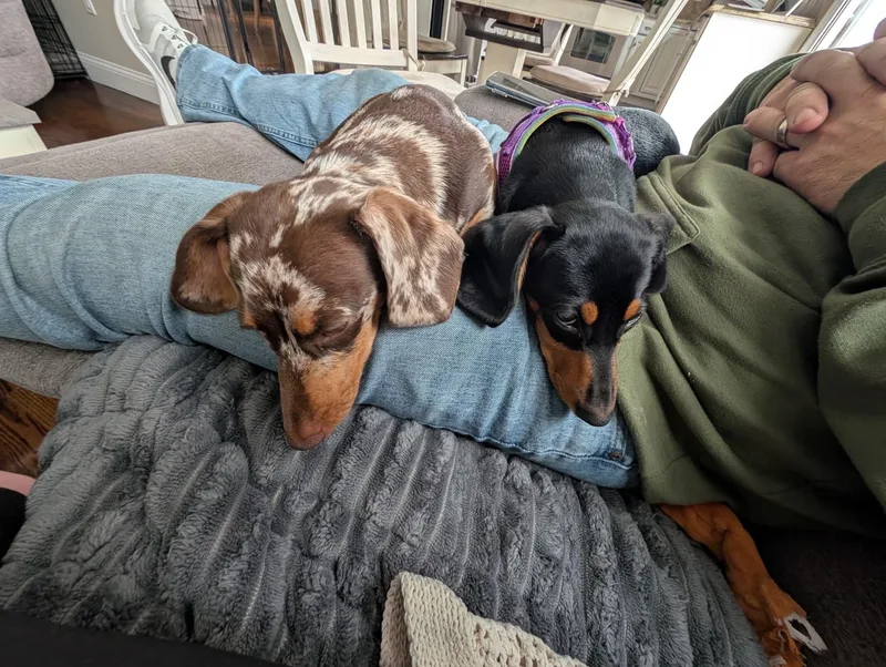 Dolce And Coco thumbnail 3