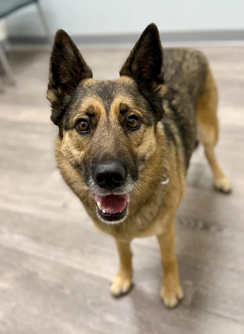 Roxy  Courtesy thumbnail 2