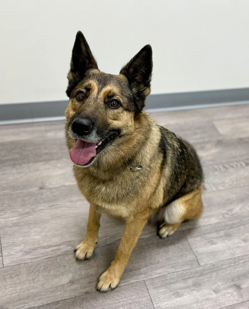 Roxy  Courtesy thumbnail 3