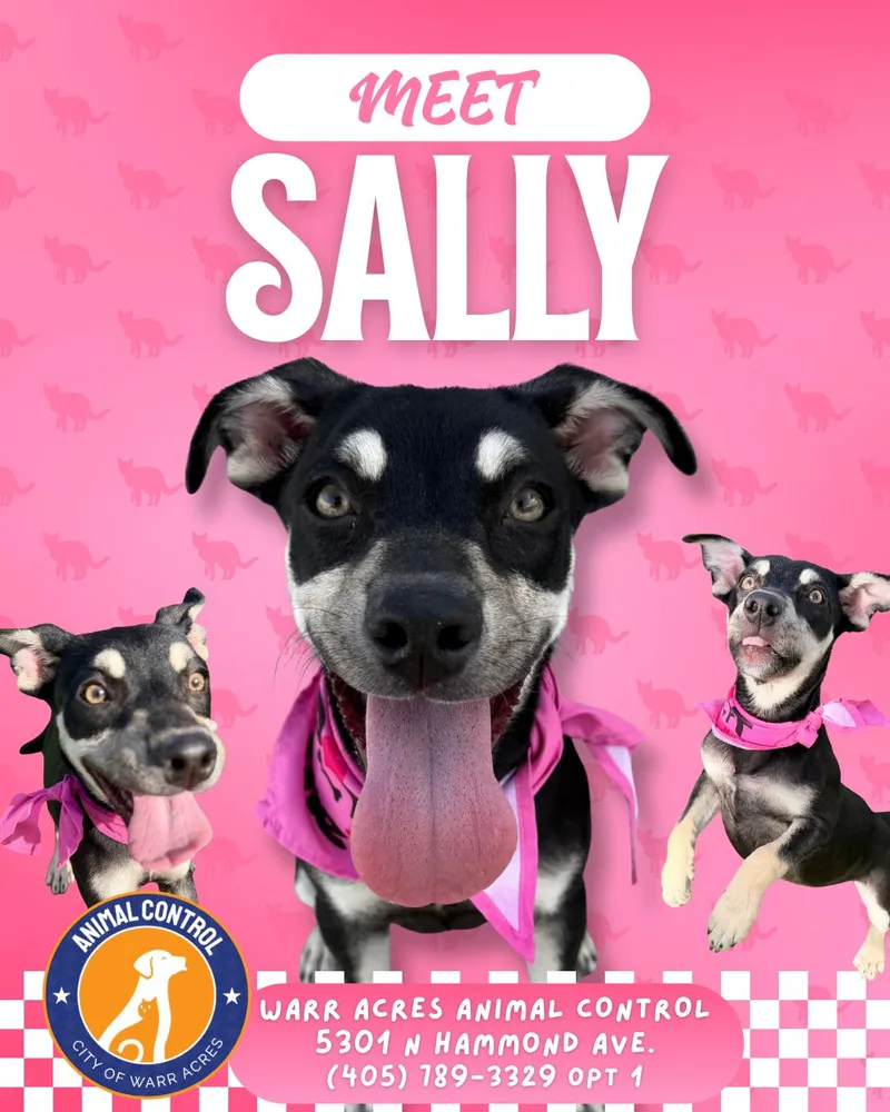 Sally thumbnail 4