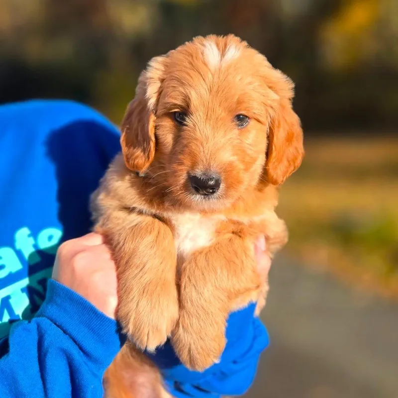 CT Kody avail Oct thumbnail 2