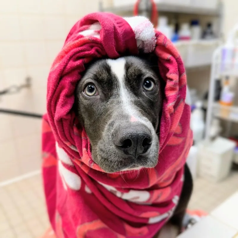 Minnie Winnie