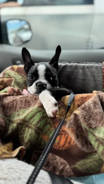 Bynx  Redington Beach thumbnail 5