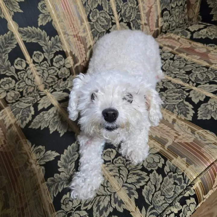 Lizzie Mae thumbnail 2