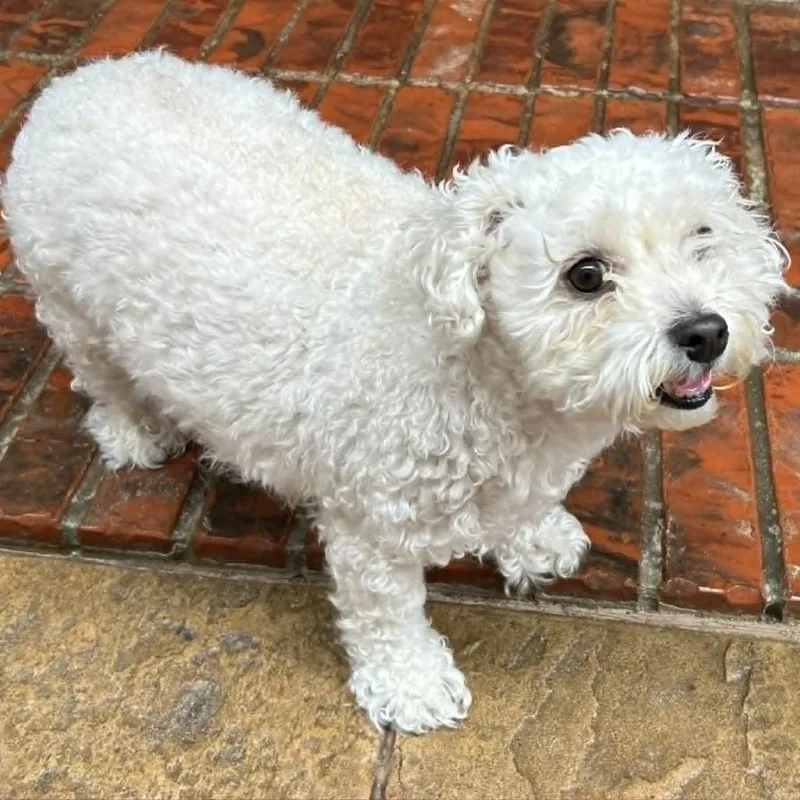 Lizzie Mae thumbnail 4
