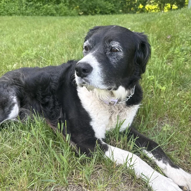 Lucy