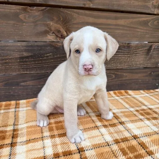 Scrapbook thumbnail 2