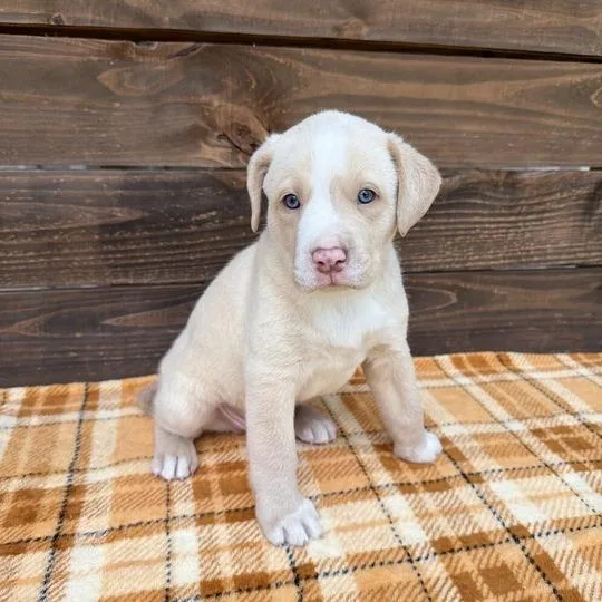 Scrapbook thumbnail 3