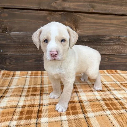 Scrapbook thumbnail 4