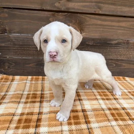 Scrapbook thumbnail 5