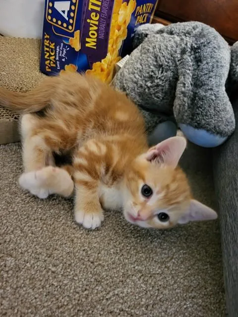 Oliver A