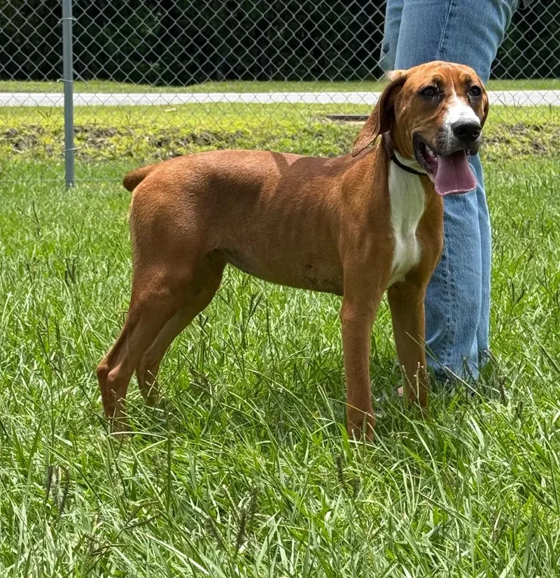 Ella Mae