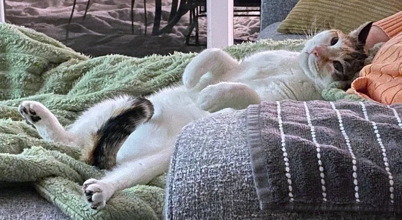 Cali And Bennie thumbnail 2