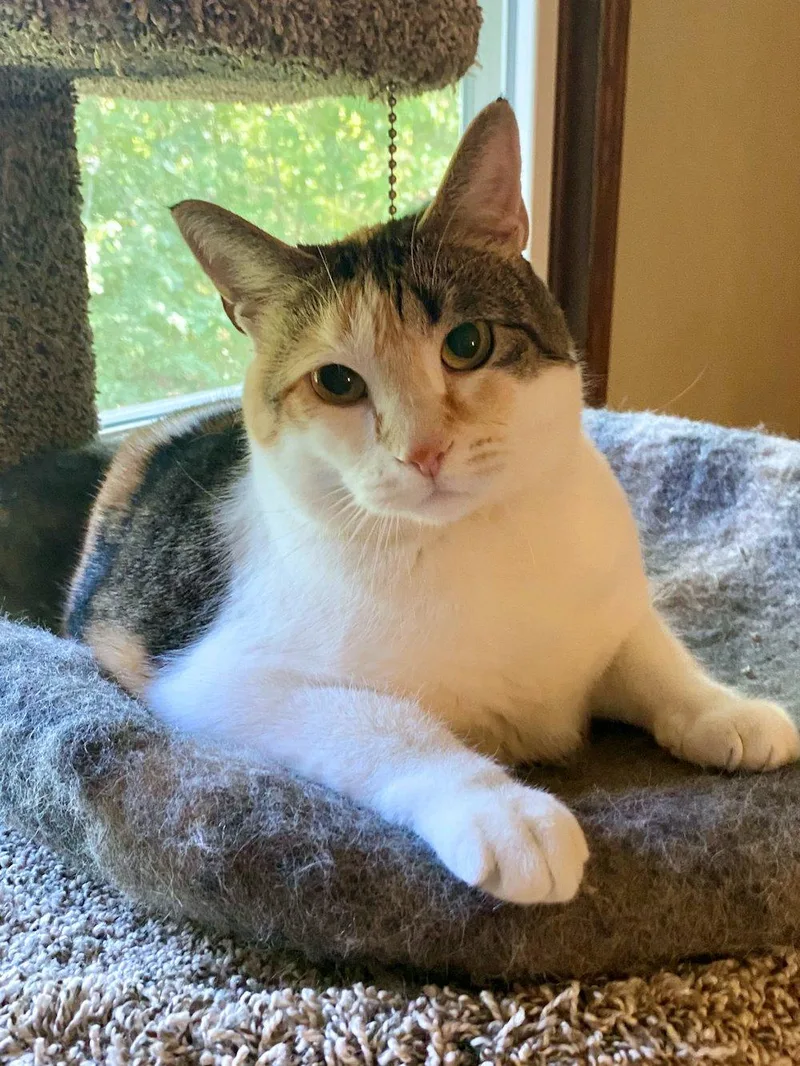 Cali And Bennie thumbnail 3