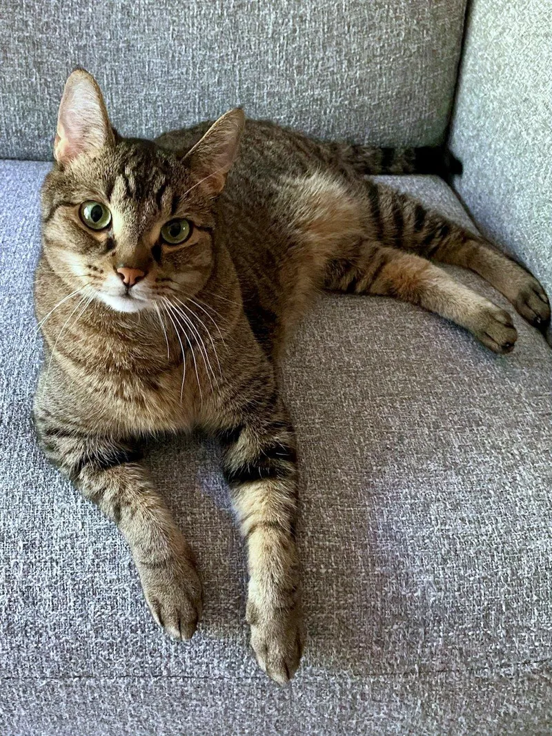 Cali And Bennie thumbnail 4