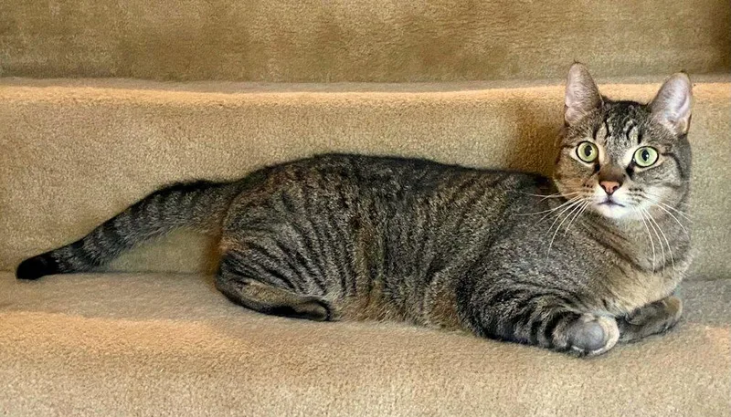 Cali And Bennie thumbnail 6