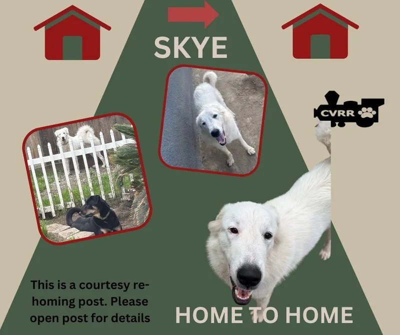 Skye Home To Home