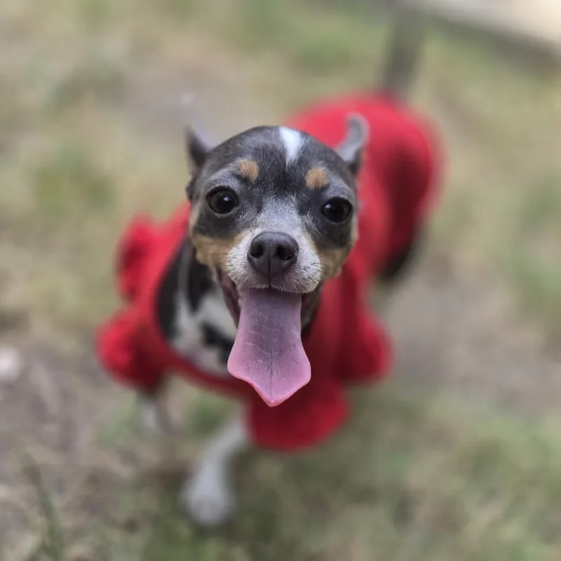 Peggy