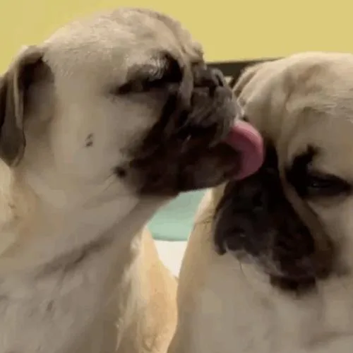 Kingston thumbnail 2