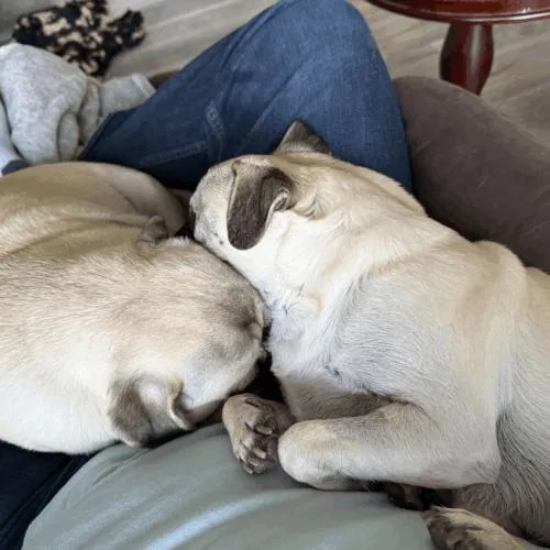 Kingston thumbnail 5