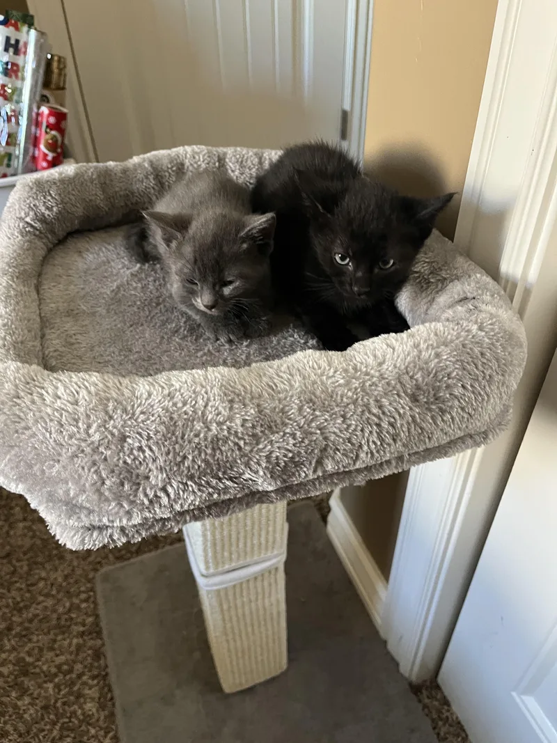Bad Boy thumbnail 4