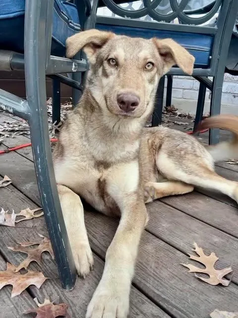 Corckett thumbnail 2