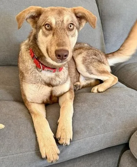 Corckett thumbnail 4