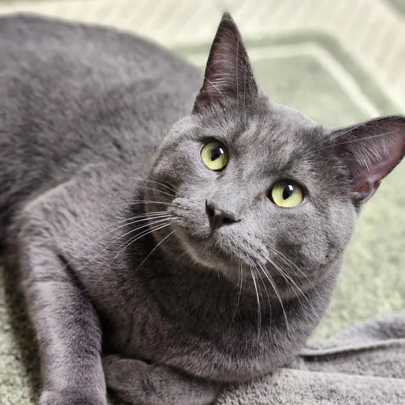 Lightning thumbnail 2