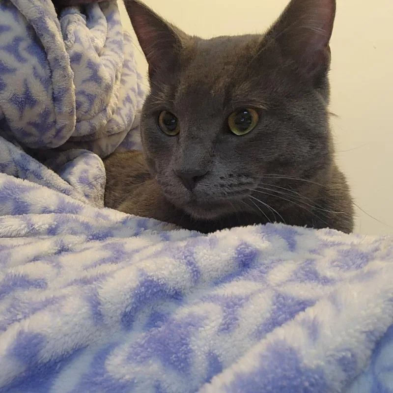 Lightning thumbnail 3