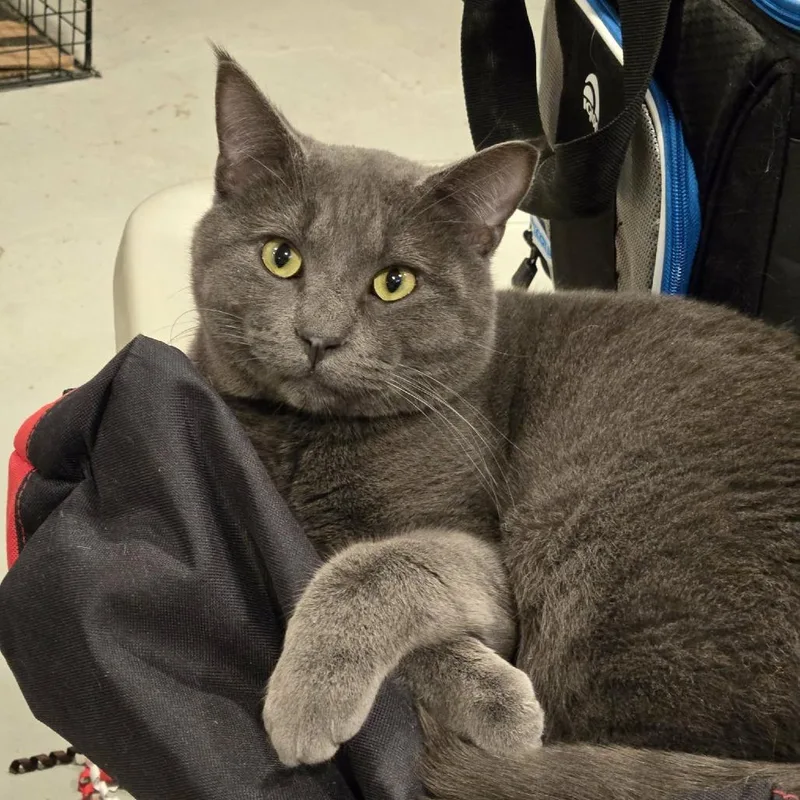 Lightning thumbnail 4