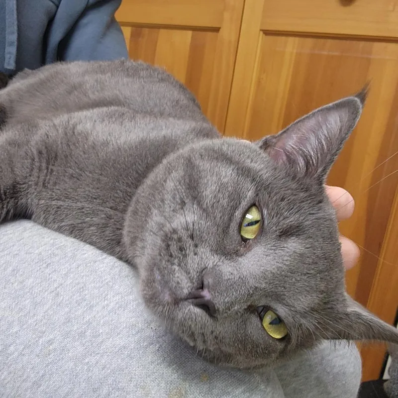 Lightning thumbnail 5