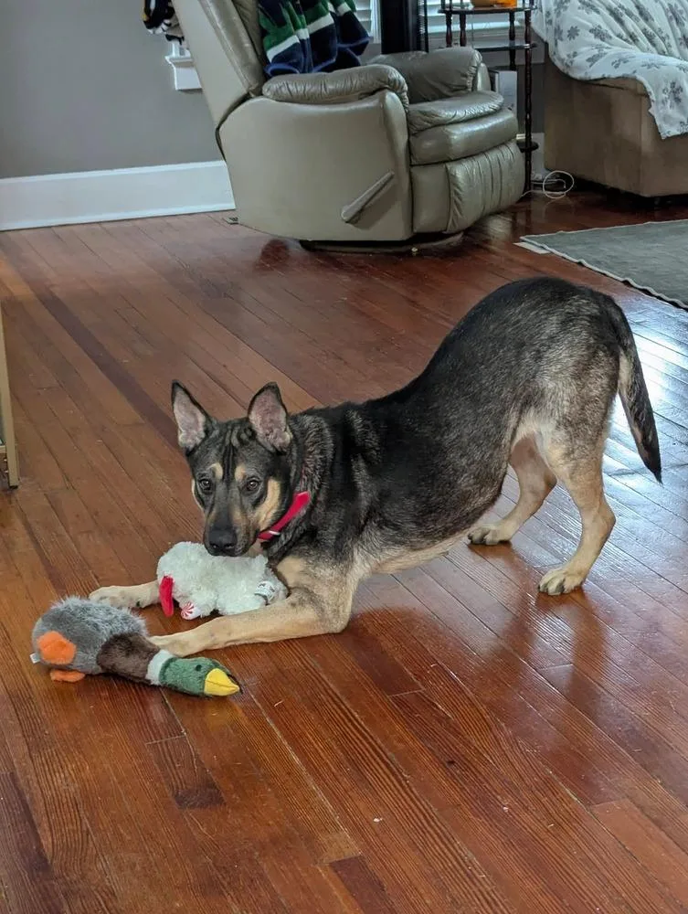 Winnie The Pooh thumbnail 2