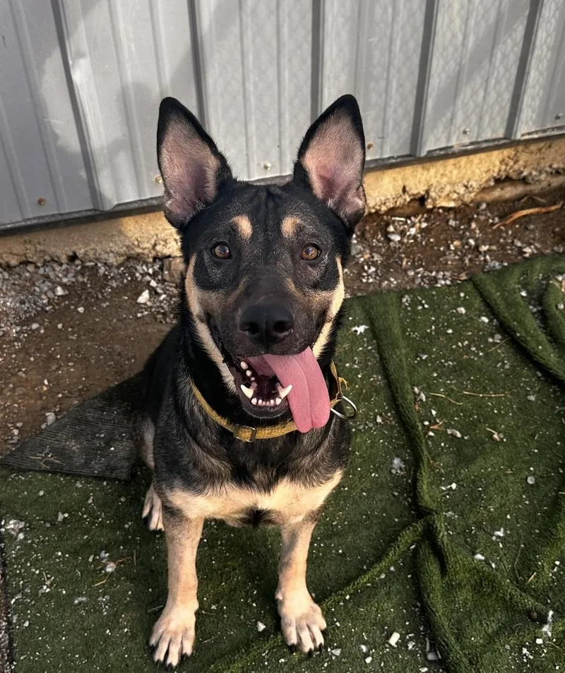 Winnie The Pooh thumbnail 5