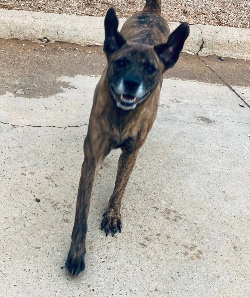 Chloe