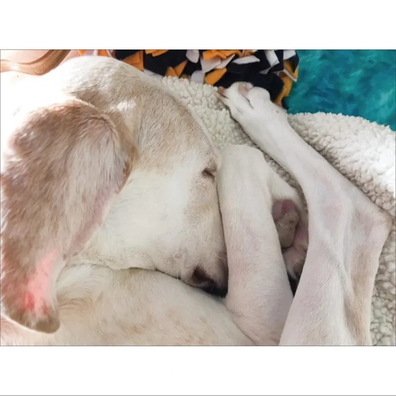 Julia thumbnail 4