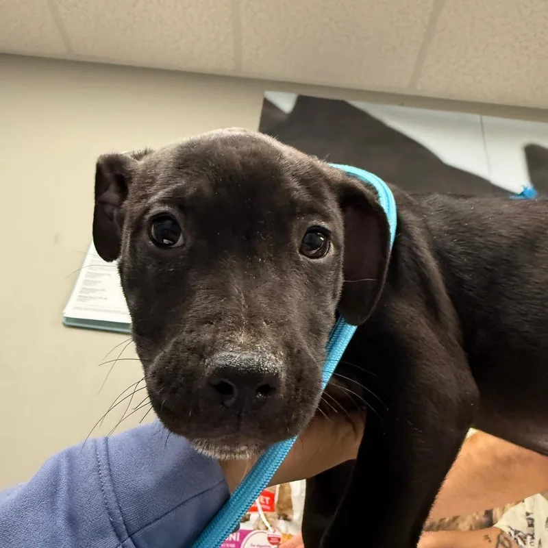 Club Fitness thumbnail 2