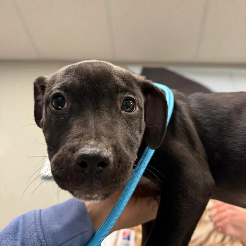 Club Fitness thumbnail 4