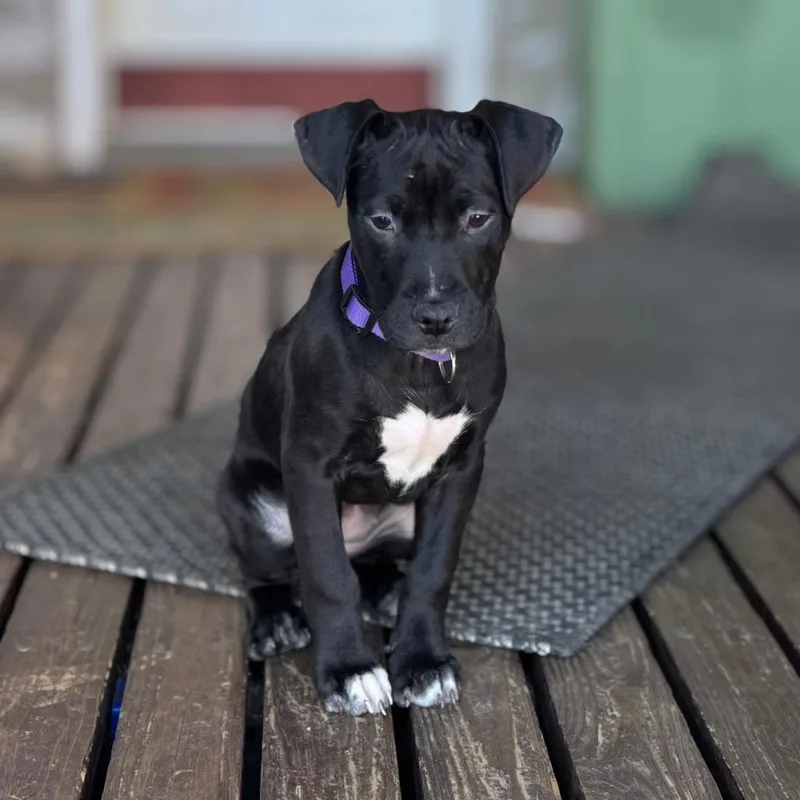 Club Fitness thumbnail 5