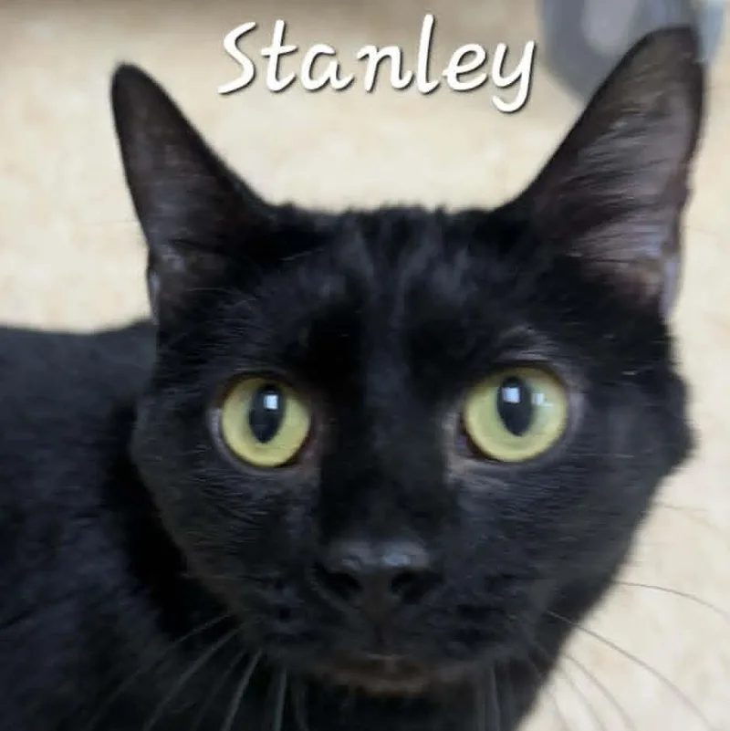Stanley