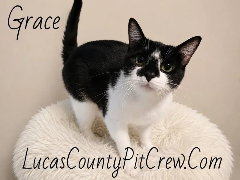 Grace thumbnail 2