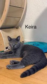 Keira