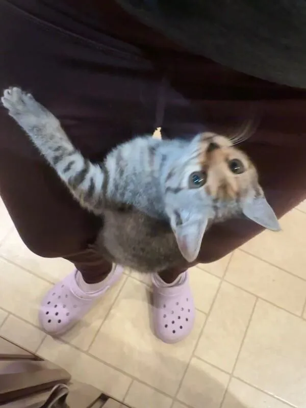 España thumbnail 5